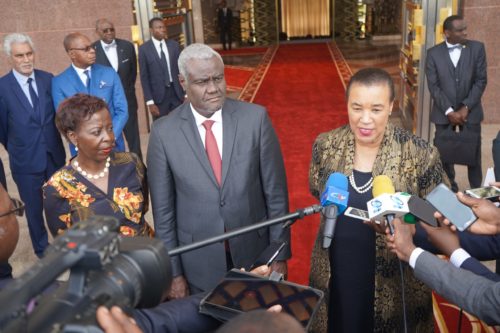 Joint declaration of the tripartite visit to Cameroon